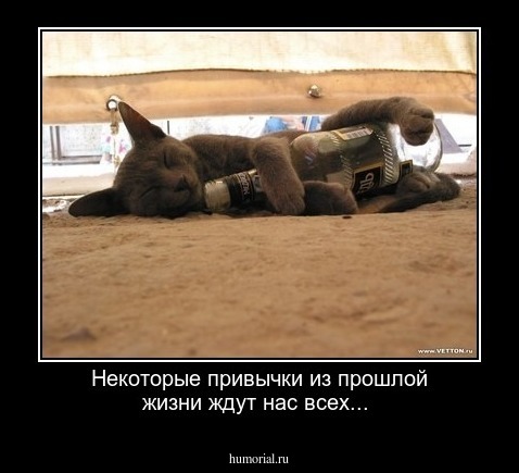 Некоторые привычки  из прошлой жизни  ждут нас всех...