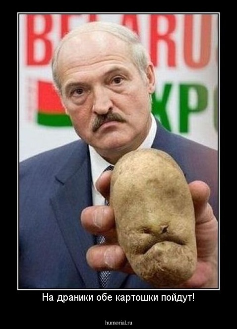 На драники обе картошки пойдут!