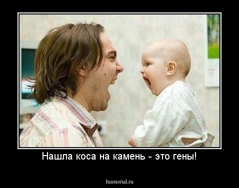 Нашла коса на камень - это гены!