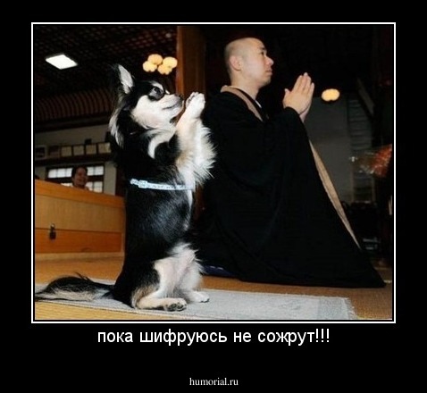пока шифруюсь не сожрут!!!