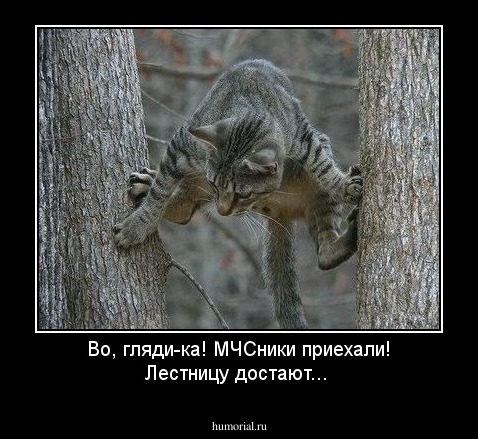 Во, гляди-ка!  МЧСники приехали! Лестницу достают...