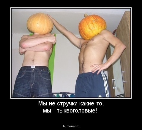 Мы не стручки какие-то, мы - тыквоголовые!