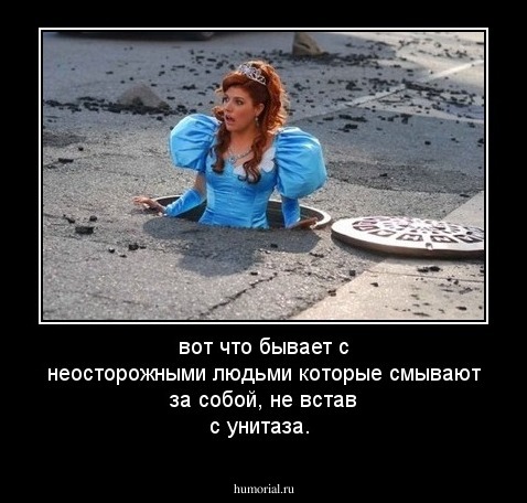 вот что бывает с неосторожными людьми которые смывают за собой, не встав с унитаза.