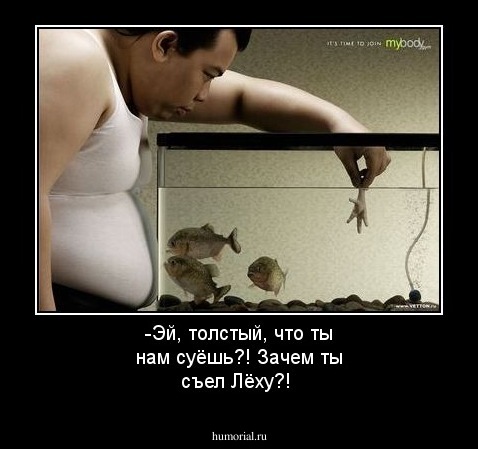 -Эй, толстый, что ты нам суёшь?! Зачем ты съел Лёху?!