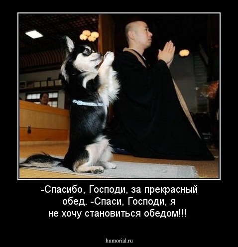 -Спасибо, Господи, за прекрасный обед.
-Спаси, Господи, я не хочу становиться обедом!!!