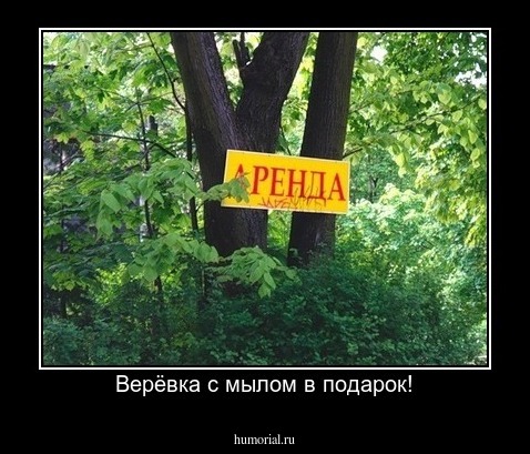 Верёвка с мылом в подарок!