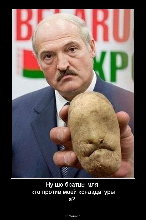 Ну шо братцы мля, кто против моей кондидатуры а?