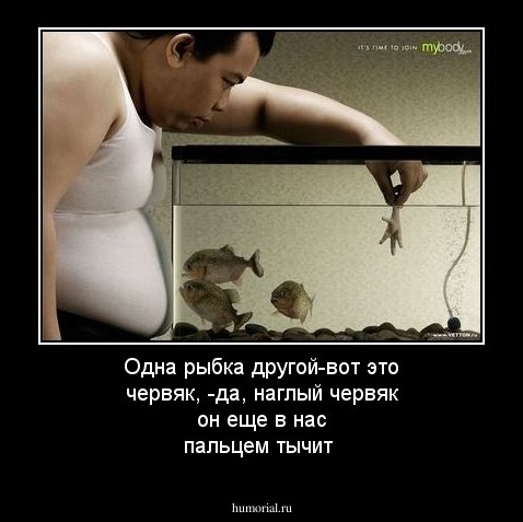 Одна рыбка другой-вот это червяк, -да, наглый червяк он еще в нас пальцем тычит