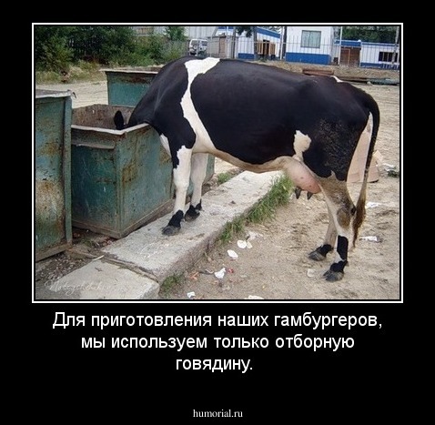 Для приготовления наших гамбургеров, мы используем только отборную говядину. 