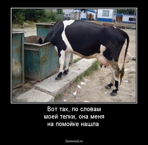 Вот так, по словам моей телки, она меня на помойке нашла
