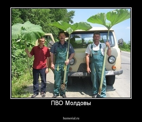 ПВО Молдовы