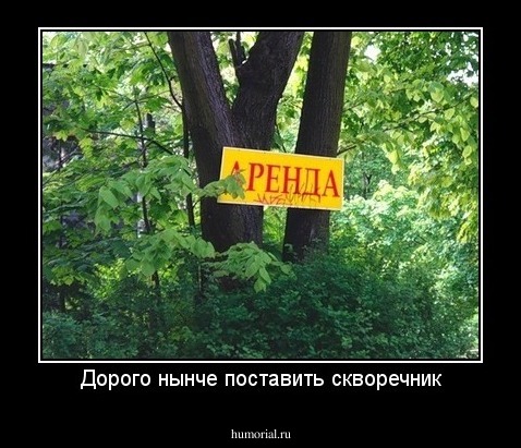 Дорого нынче поставить скворечник