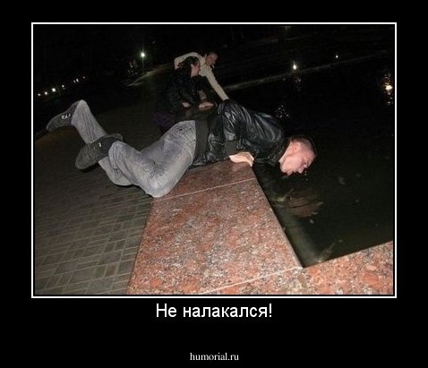 Не налакался!