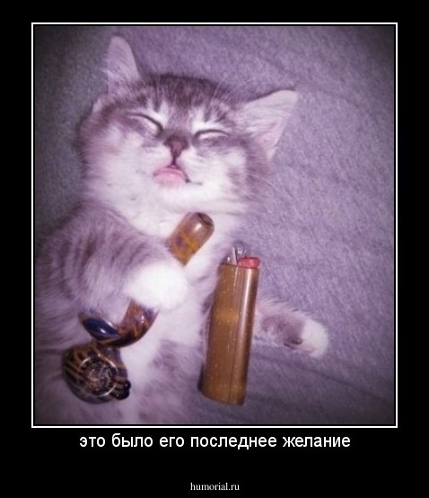 это было его последнее желание