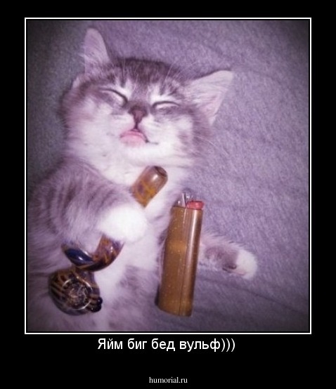 Яйм биг бед вульф))) 