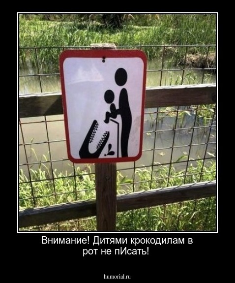  Внимание! Дитями крокодилам в рот не пИсать!