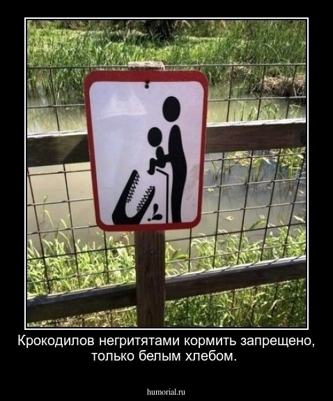 Крокодилов негритятами кормить запрещено, только белым хлебом. 