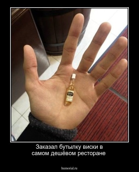 Заказал бутылку виски в самом дешёвом ресторане