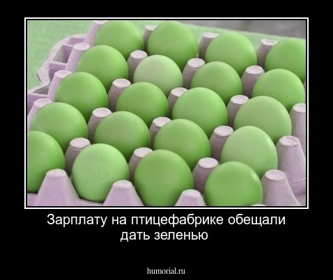 Зарплату на птицефабрике обещали дать зеленью
