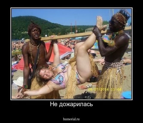 Не дожарилась