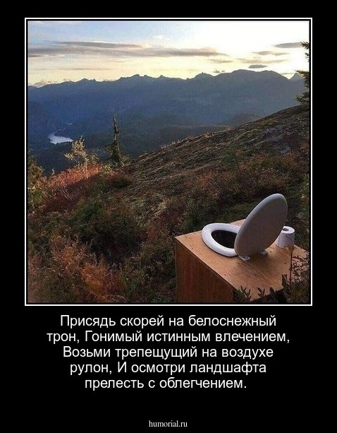 Присядь скорей на белоснежный трон,
Гонимый истинным влечением,
Возьми трепещущий на воздухе рулон,
И осмотри ландшафта прелесть с облегчением.