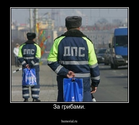 За грибами.