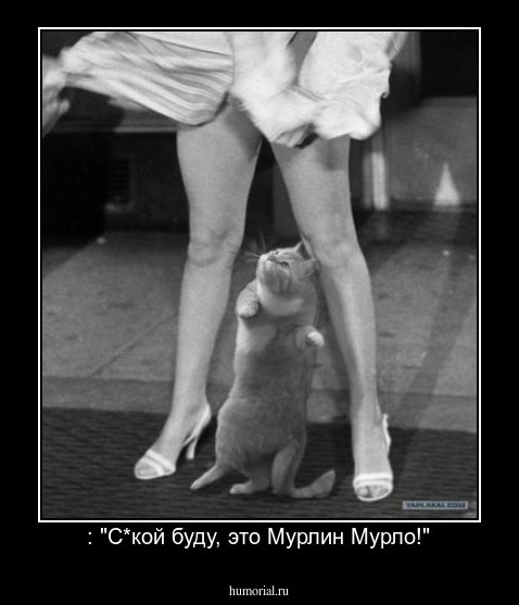  : "С*кой буду, это Мурлин Мурло!"