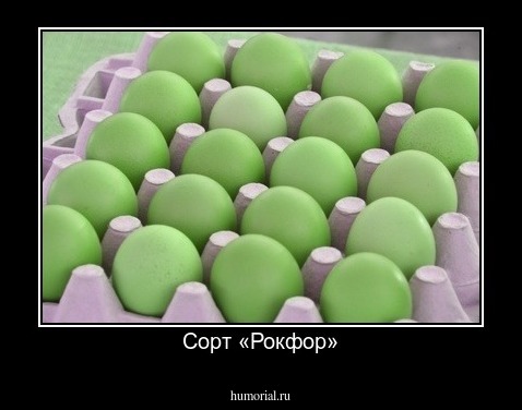 Сорт «Рокфор»