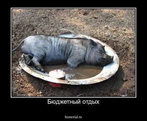 Бюджетный отдых