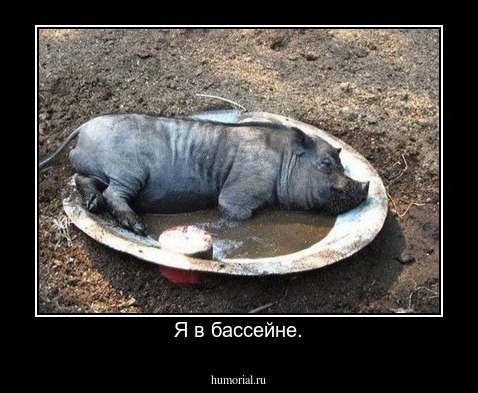 Я в бассейне.