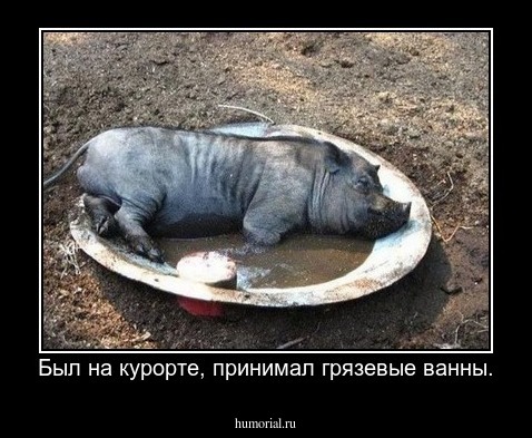 Был на курорте, принимал грязевые ванны.