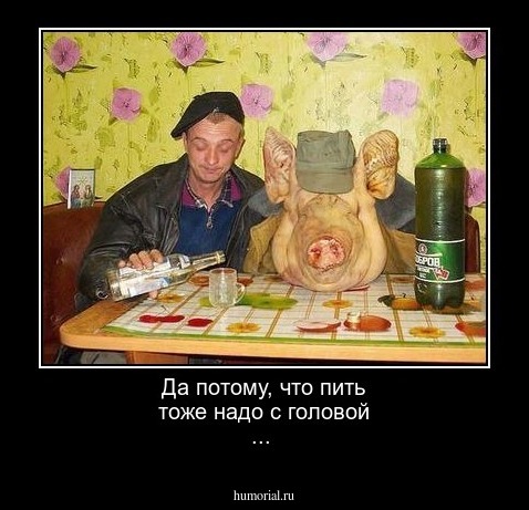 Да потому, что пить тоже надо с головой ...