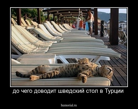 до чего доводит шведский стол в Турции 