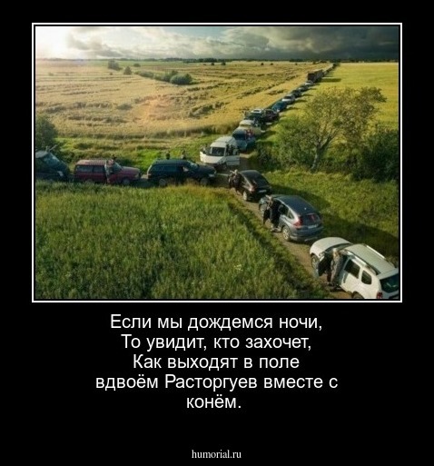 Если мы дождемся ночи, То увидит, кто захочет, Как выходят в поле вдвоём Расторгуев вместе с конём.