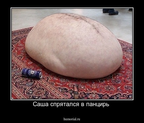 Саша спрятался в панцирь 