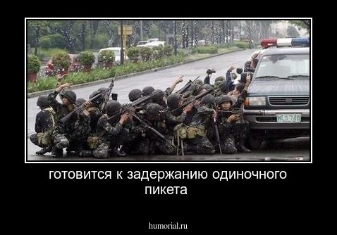 готовится к задержанию одиночного пикета 