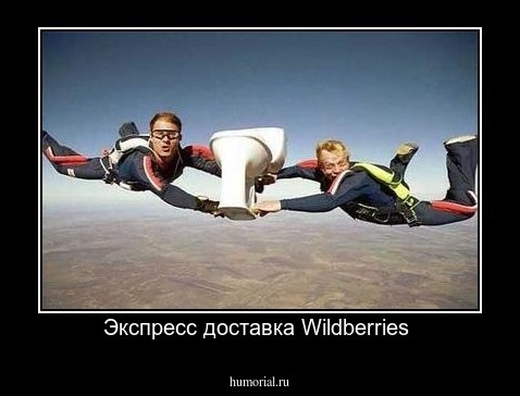 Экспресс доставка Wildberries 