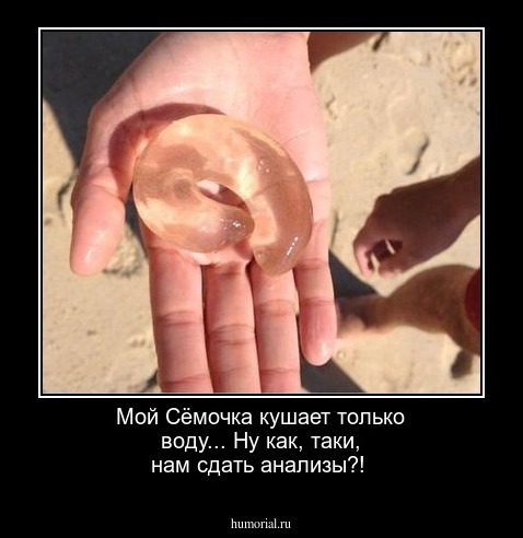 Мой Сёмочка кушает только воду... Ну как, таки,  нам сдать анализы?!