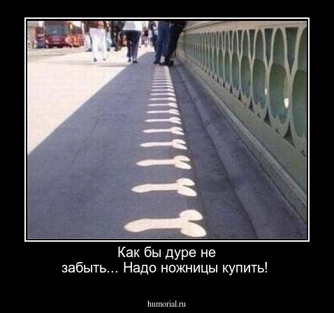 Как бы дуре не забыть...  Надо ножницы купить!