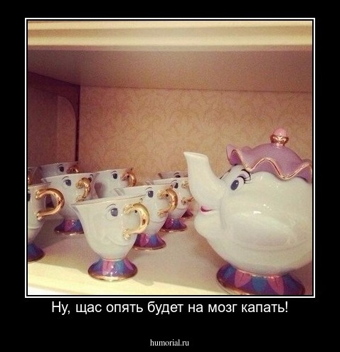 Ну, щас опять будет на мозг капать!