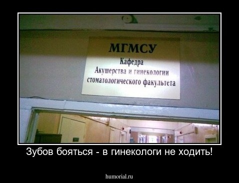 Зубов бояться - в гинекологи не ходить!