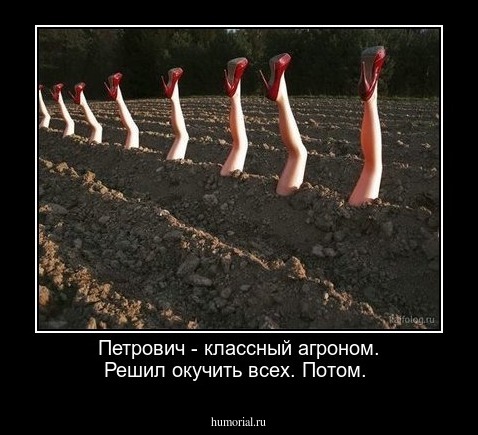  Петрович - классный агроном. Решил окучить всех. Потом.