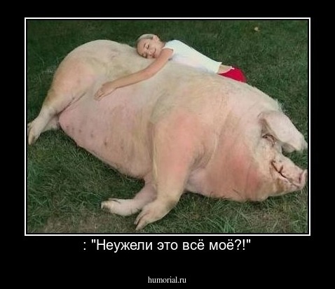  : "Неужели это всё моё?!"