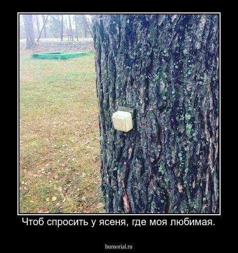  Чтоб спросить у ясеня, где моя любимая.