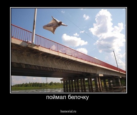 поймал белочку 