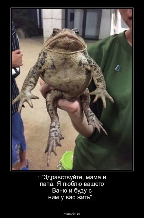  : "Здравствуйте, мама и папа. Я люблю вашего Ваню и буду с ним у вас жить".