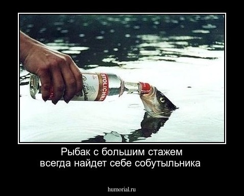 Рыбак с большим стажем всегда найдет себе собутыльника