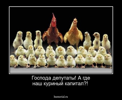 Господа депутаты! А где наш куриный капитал?!