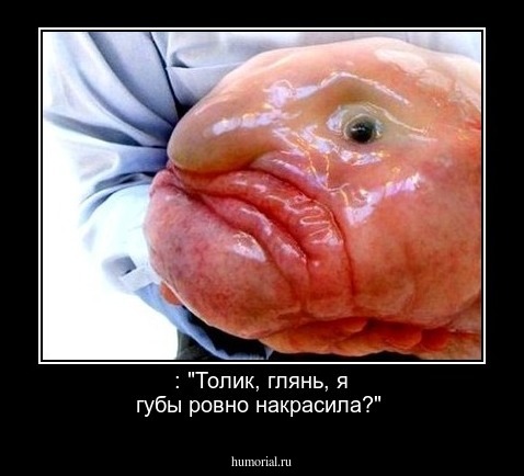 : "Толик, глянь, я губы ровно накрасила?"