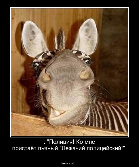 : "Полиция! Ко мне пристаёт пьяный "Лежачий полицейский!"